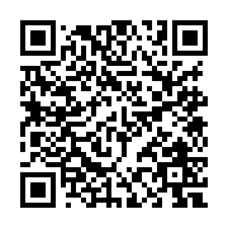 QR code for V038G