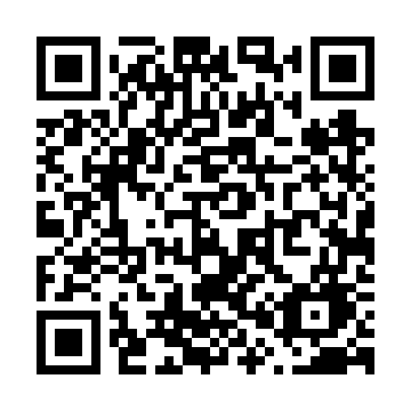 QR code for plate V04 6WG