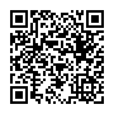 QR code for V049S