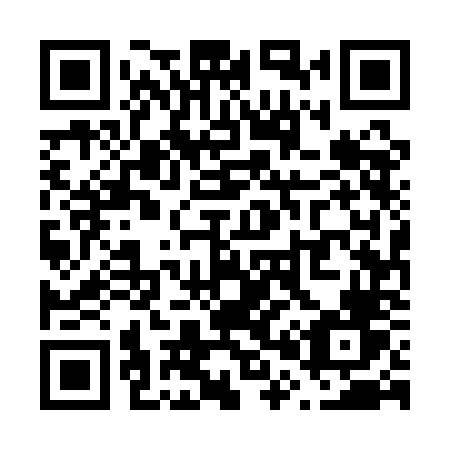 QR code for plate V05 1NV