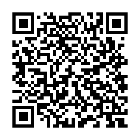 QR code for plate V06 1VH