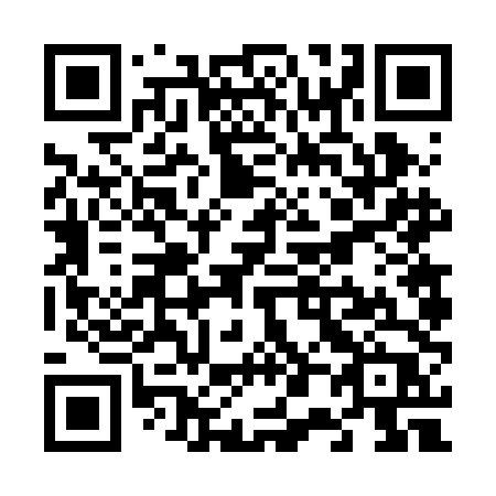 QR code for plate V06 2DP