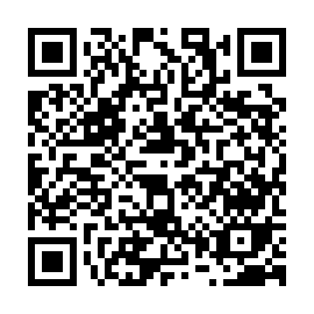 QR code for V091G