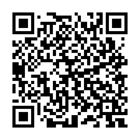 QR code for V10 3XX