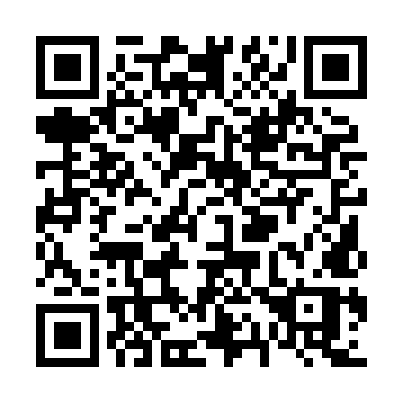 QR code for V11 8MP