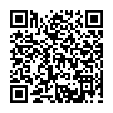 QR code for V113T