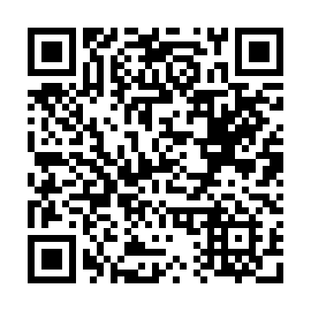 QR code for plate V12 2LI