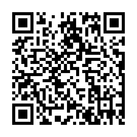 QR code for V125P