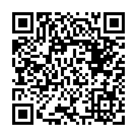 QR code for V132P
