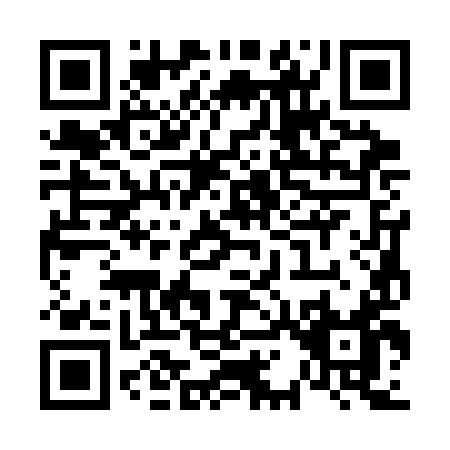 QR code for V133I