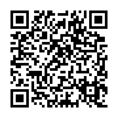 QR code for V163P
