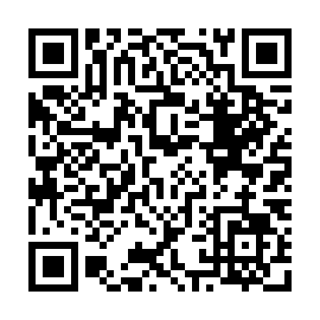 QR code for V166L