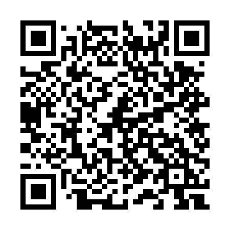 QR code for V17 4PK