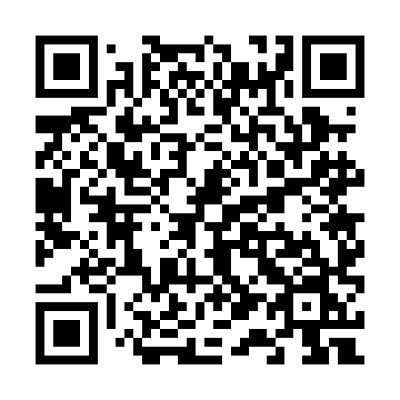 QR code for plate V17 0HN