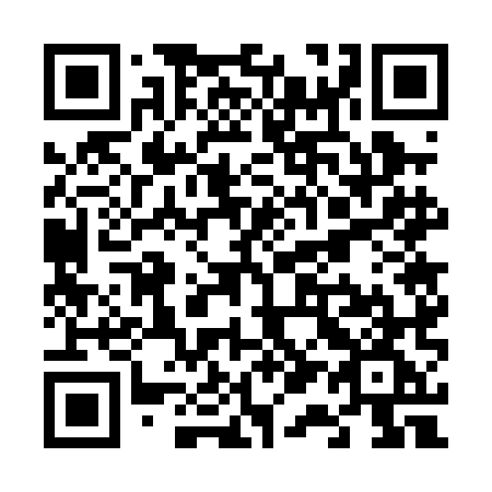 QR code for plate V17 0MG
