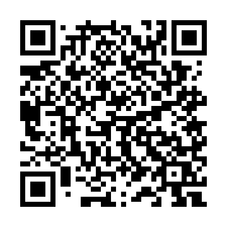 QR code for plate V17 7MS