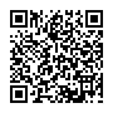 QR code for V196S