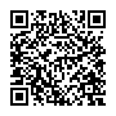 QR code for V201P