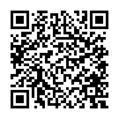 QR code for V204N