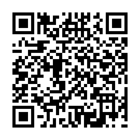 QR code for V207Z