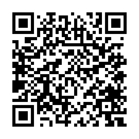 QR code for V210L