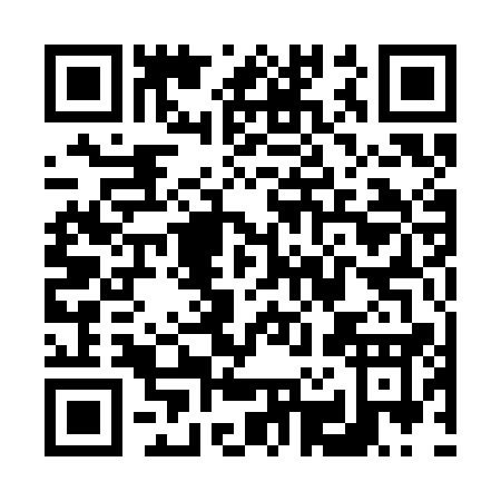 QR code for V213A