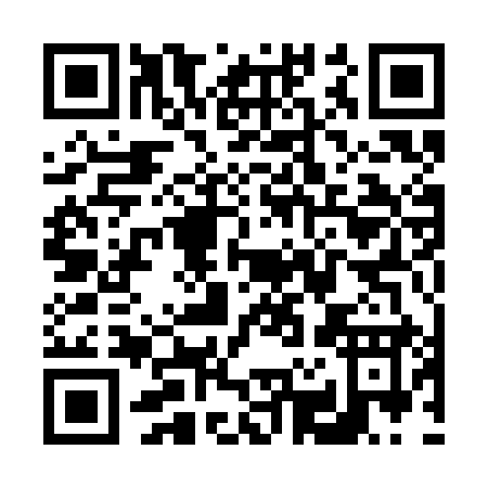 QR code for V213I