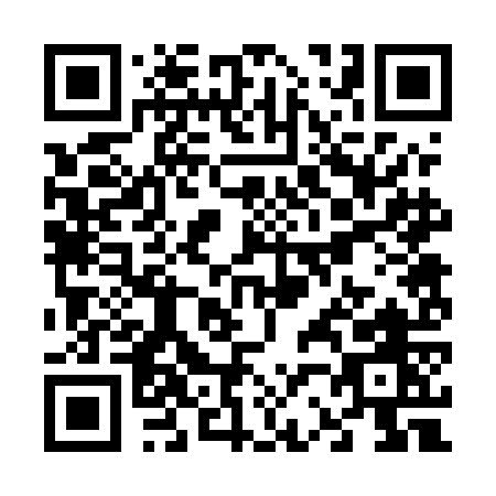 QR code for V225O