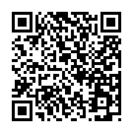 QR code for V228L