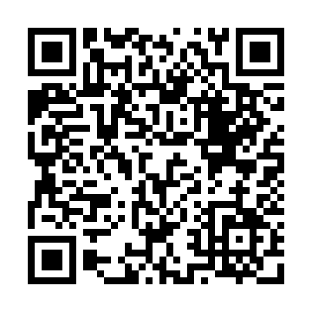 QR code for V233C