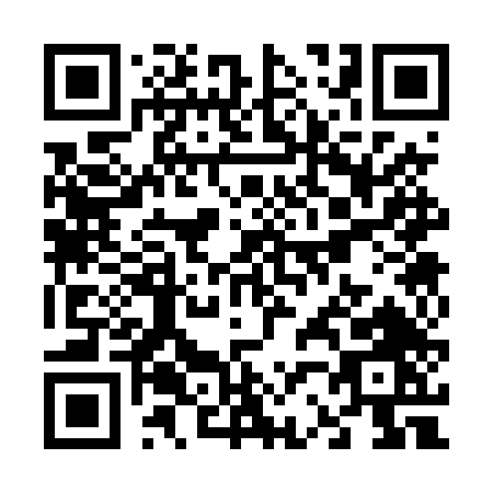 QR code for V234T