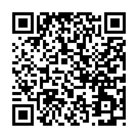 QR code for V241I