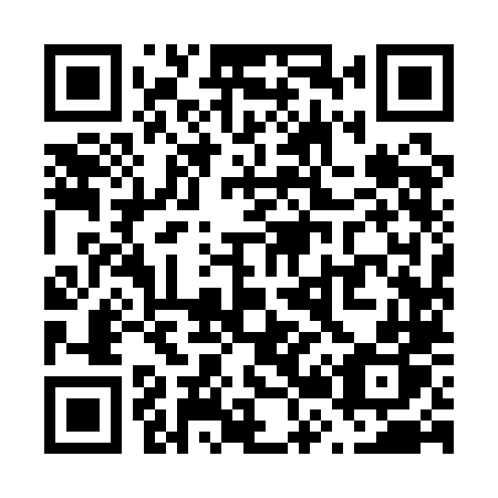 QR code for V29 1LP