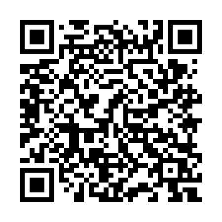 QR code for V29 6LR