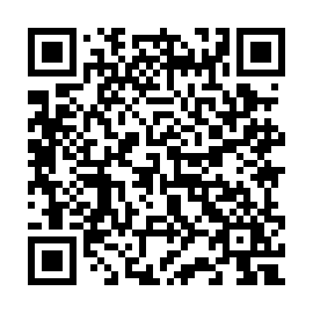 QR code for plate V29 0HY