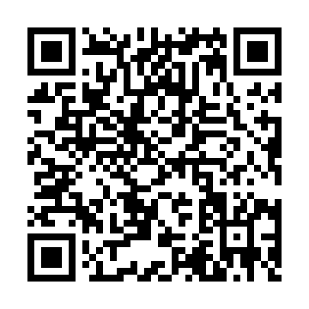 QR code for V290I