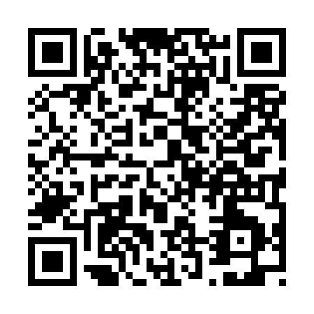 QR code for V294K