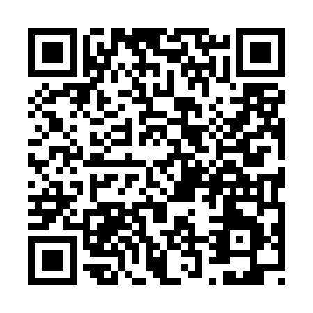 QR code for V294N