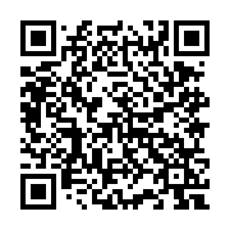 QR code for V294NK