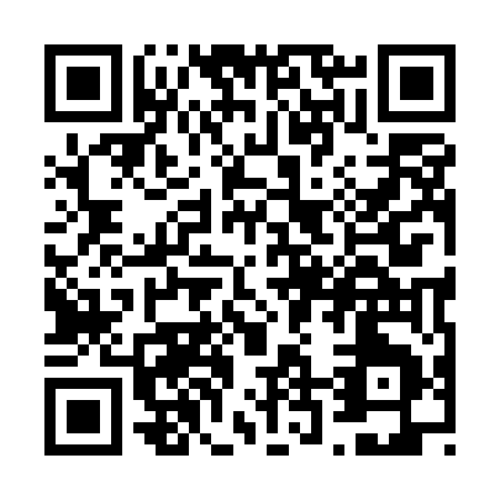 QR code for V295E