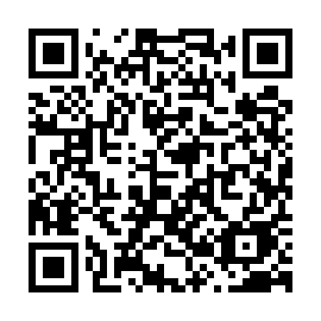 QR code for plate V29 5QE