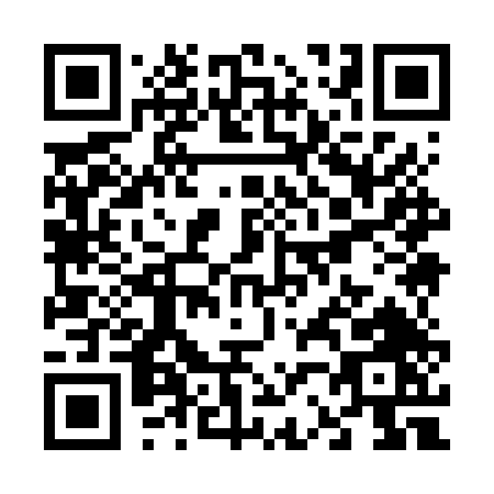 QR code for V296T