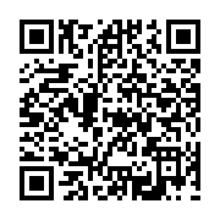 QR code for V297T