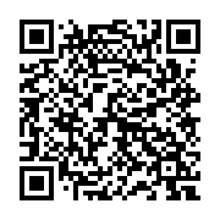 QR code for V30 1VN