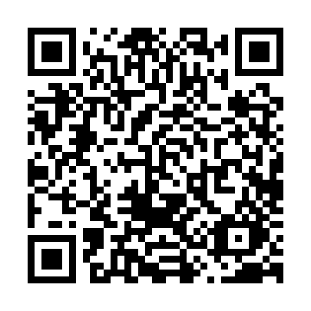 QR code for plate V30 1ZO