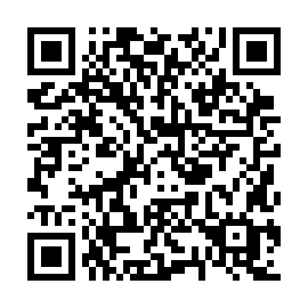 QR code for plate V30 3LG