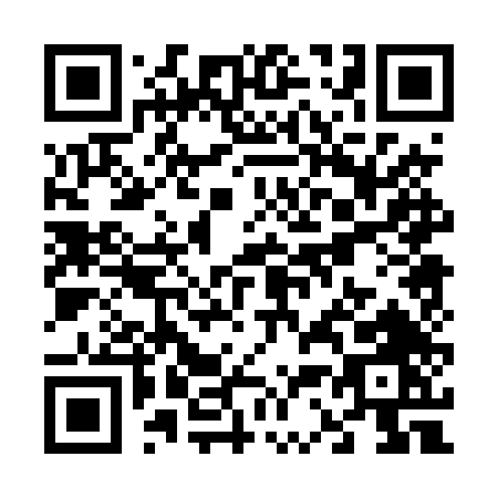 QR code for V304T