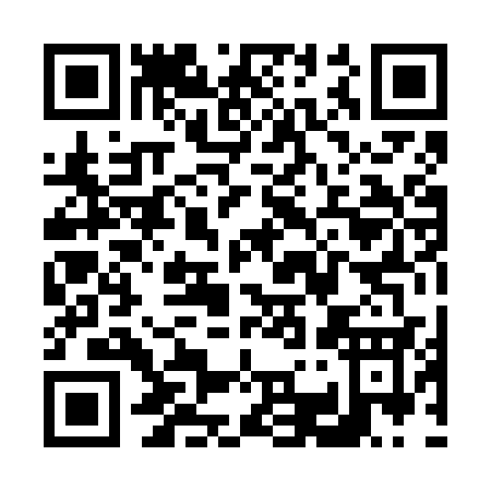 QR code for V306S