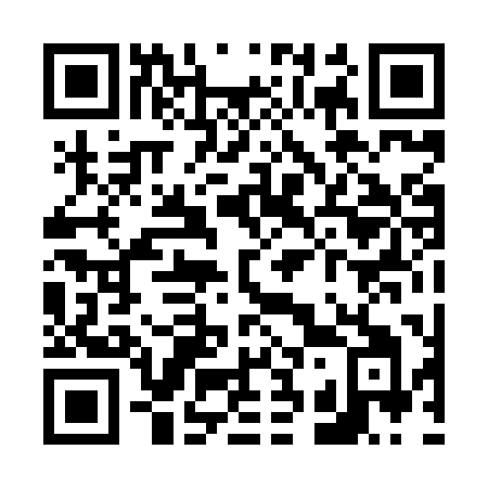 QR code for V308PI