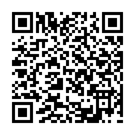 QR code for V313I